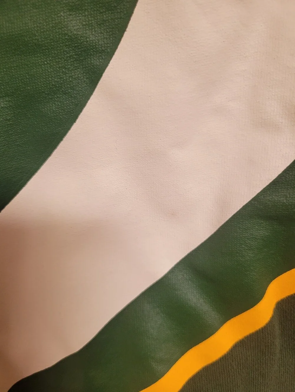 NFL greenbay packers